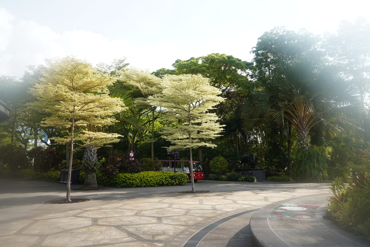 Life in Motion: The Meaning of The Gradual Loop